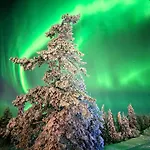 Auroralevi Utsuvaara Northern Lights Retreat, Ski-in-out, 2 Pass Included To Price ليفي