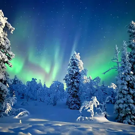 Daire Auroralevi Utsuvaara Northern Lights Retreat, Ski-in-out, 2 Pass Included To Price *