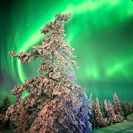 Auroralevi Utsuvaara Northern Lights Retreat, Ski-in-out, 2 Pass Included To Price Levi