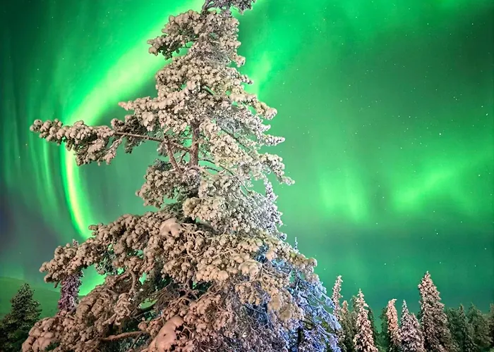 Auroralevi Utsuvaara Northern Lights Retreat, Ski-in-out, 2 Pass Included To Price Levi